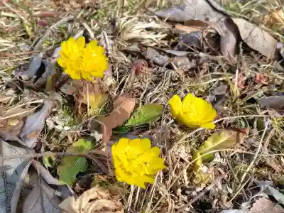 三春大神宮(福島県)
