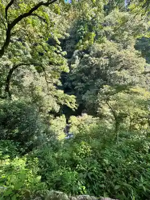 天岩戸神社(宮崎県)