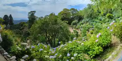 善峯寺(京都府)