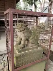 熊野神社の狛犬