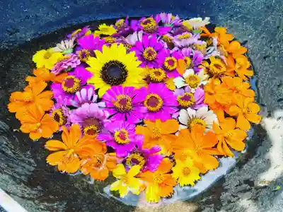 真言宗　善通寺派　薬王寺(香川県)