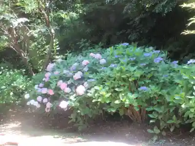 葛原岡神社(神奈川県)