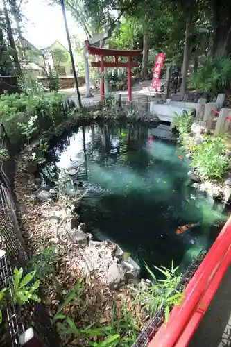 世田谷八幡宮(東京都)