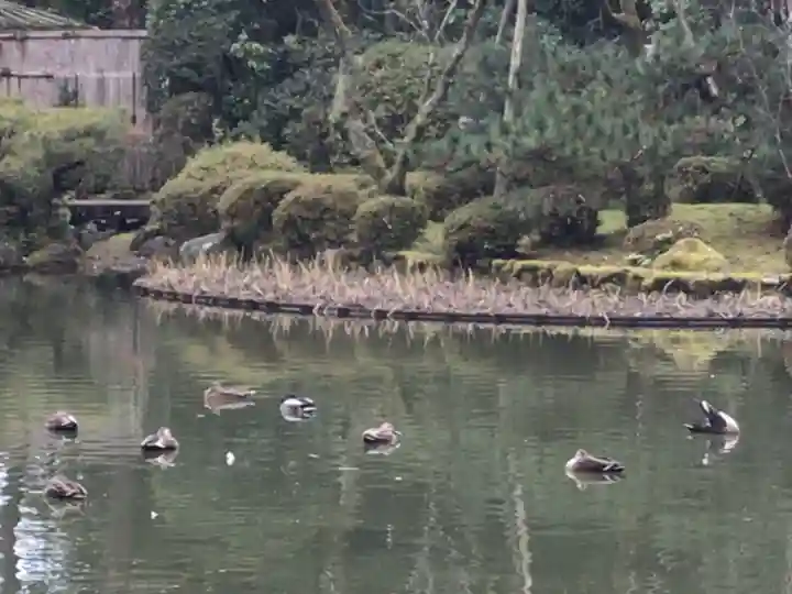 平安神宮(京都府)