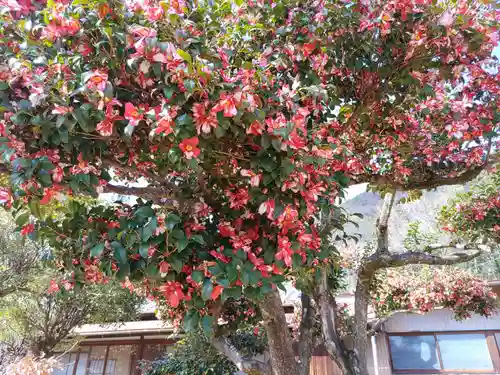 真福寺(岐阜県)