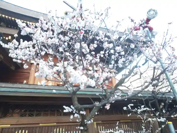 湯島天満宮の庭園