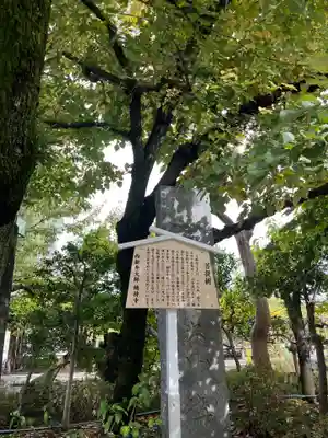 西新井大師総持寺(東京都)