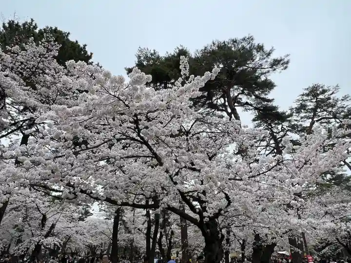 武蔵一宮氷川神社(埼玉県)