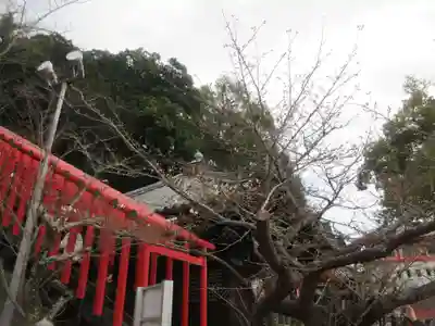 金剛宝寺（紀三井寺）(和歌山県)