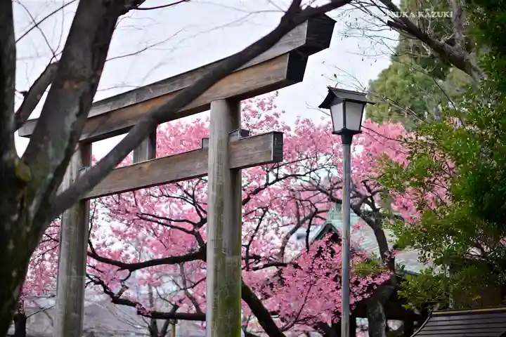 荏原神社(東京都)