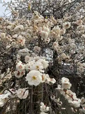 慈眼寺(愛知県)