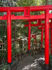 白笹稲荷神社の鳥居