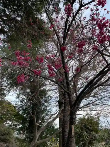 長谷寺(神奈川県)