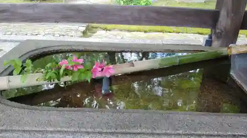 真正極楽寺（真如堂）の手水舎