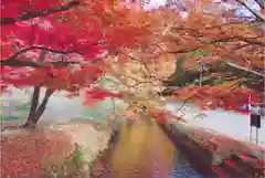 土津神社｜こどもと出世の神さまの景色