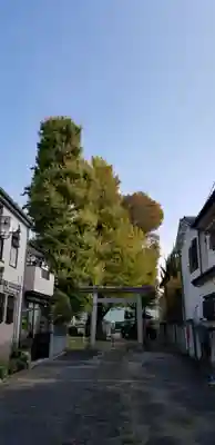 五北天祖神社の鳥居