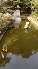 石鎚神社の動物