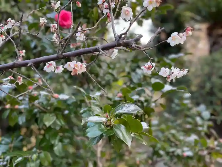 伊勢の国 四天王寺(三重県)