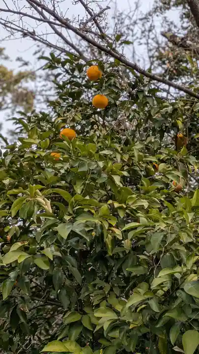 平野神社(京都府)