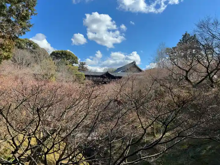東福禅寺(東福寺)の景色