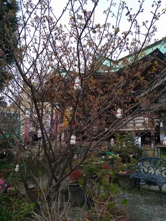 今戸神社の自然