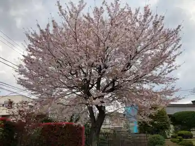 東光寺(神奈川県)