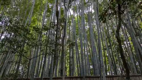 大徳寺(京都府)