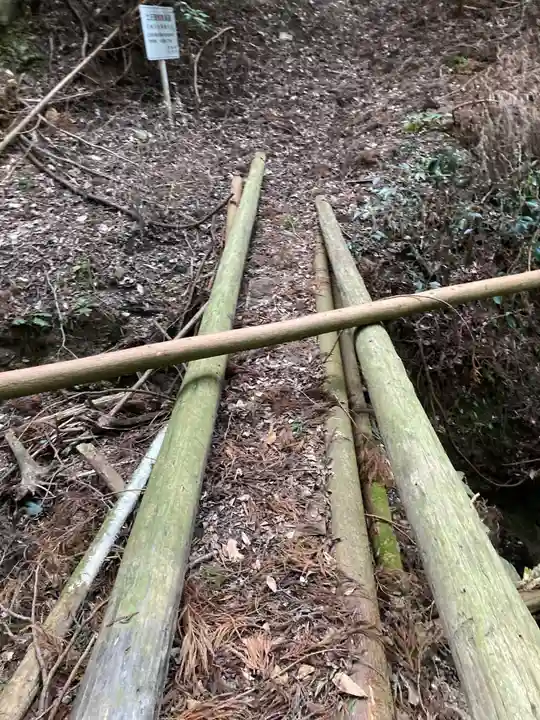 河内神社の自然