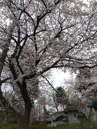熊野神社(福井県)