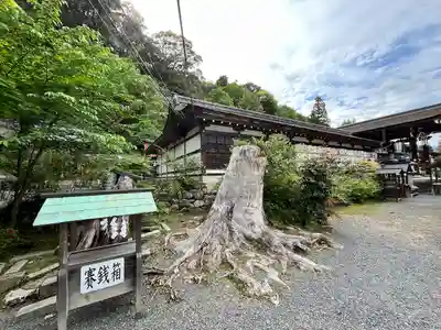 松尾大社(京都府)