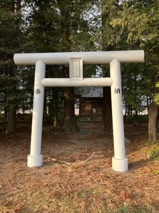 湯泉神社(蛭畑)の鳥居