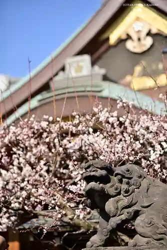 湯島天満宮の狛犬