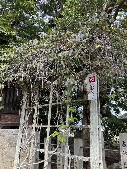 大嶋神社奥津嶋神社(滋賀県)