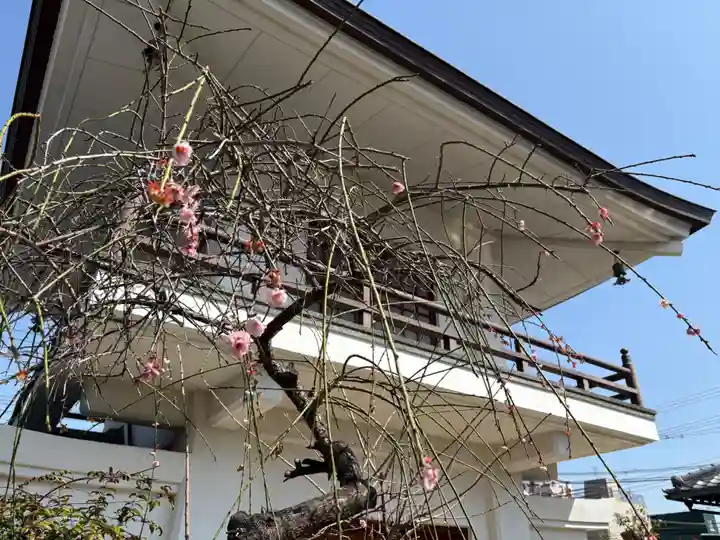 滝勝寺(兵庫県)