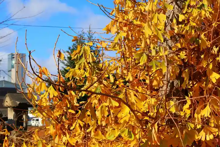 熊野福藏神社(福島県)