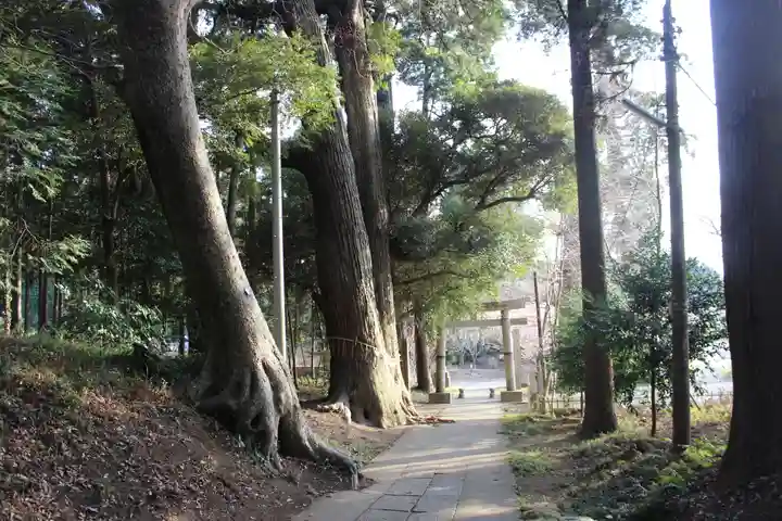 日吉神社(千葉県)