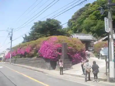 安養院　(田代寺）の周辺