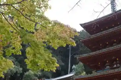 長谷寺のその他建物
