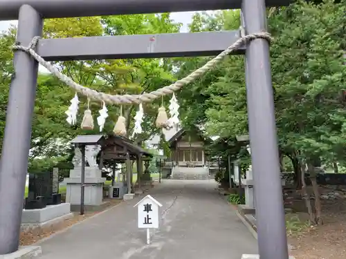 大麻神社の鳥居