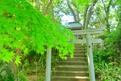 金毘羅社(東京都)