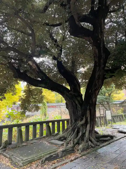 湯島聖堂(東京都)