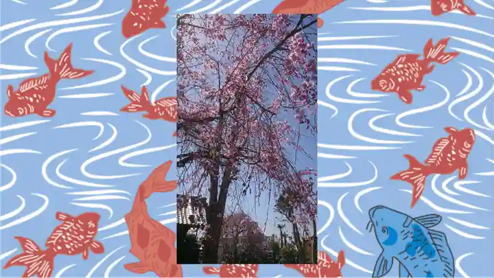 大蔵院(群馬県)