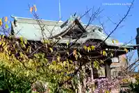 桜神宮のその他建物