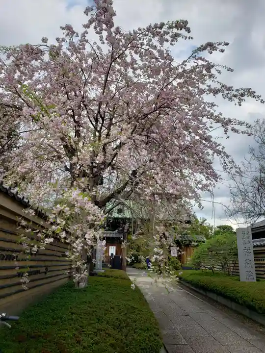 福蔵院(東京都)