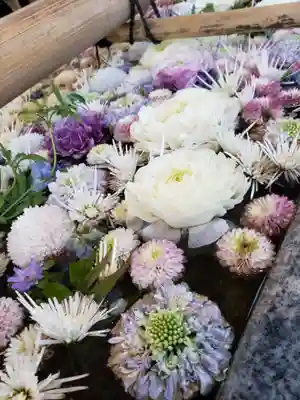 高円寺氷川神社の手水舎