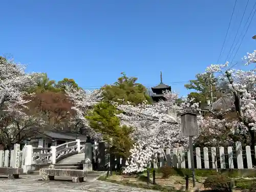 くろ谷 金戒光明寺(京都府)