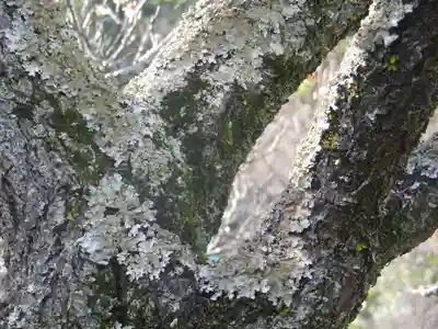 英勝寺のその他建物