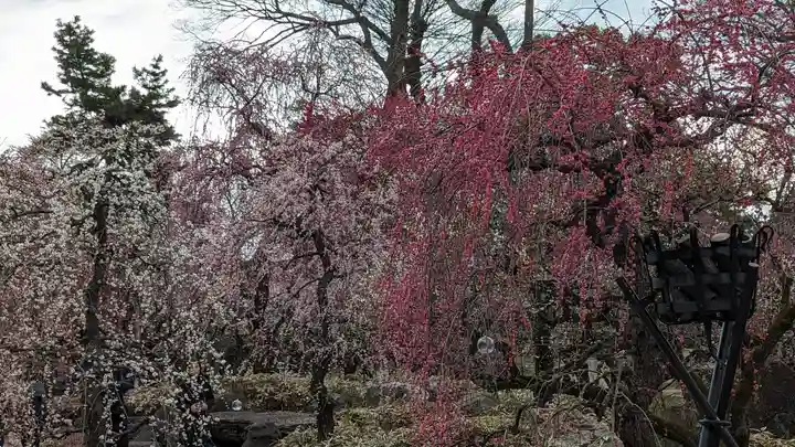 北野天満宮(京都府)