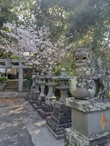 増田神社の狛犬