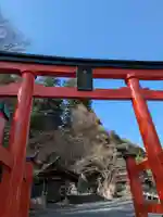 金櫻神社(山梨県)